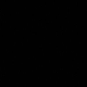 Meet your Posher, Alissa